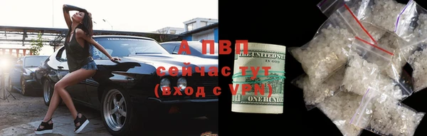 a pvp Магас